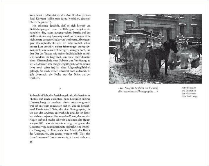 Produktbild Die helle Kammer (Deutsch, Roland Barthes, 2009)