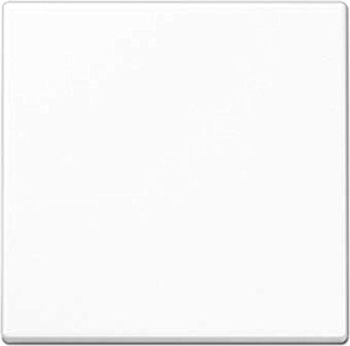 Actual product image JUNG Control button Std. A1700WW alpine white