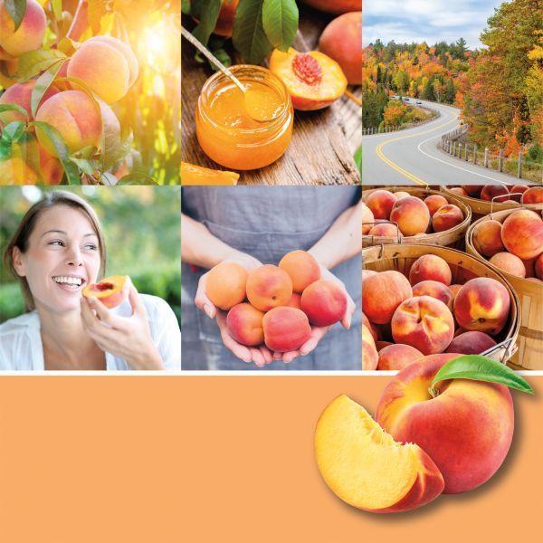 Immagine prodotto Yankee Candle Farm Fresh Peach (411 g)