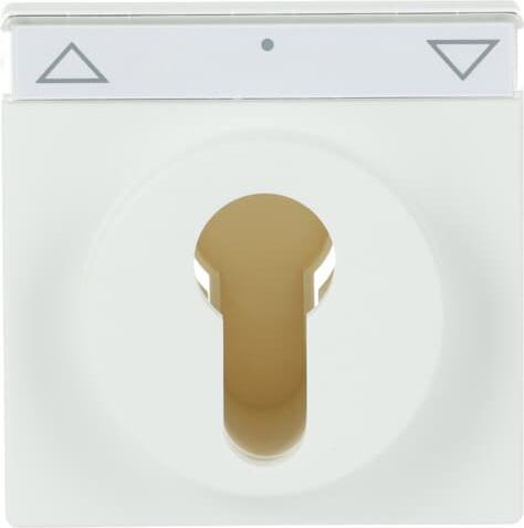 Actual product image Busch-Jaeger Central plate with labelling field 2CKA001710A3925