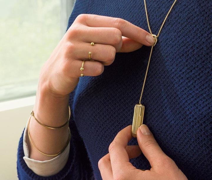 Image du produit Fitbit Flex 2 Sautoir avec pendentif