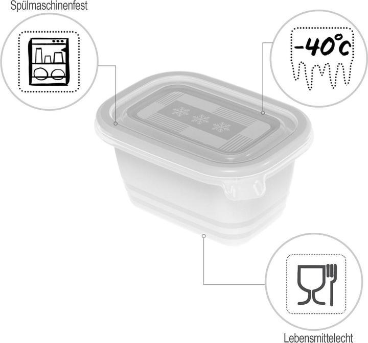 Produktbild Rotho Freeze (0.25 l)