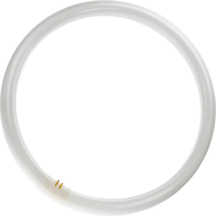 Produktbild Philips Leuchtstofflampe (G10q, 3200 lm, 1x)