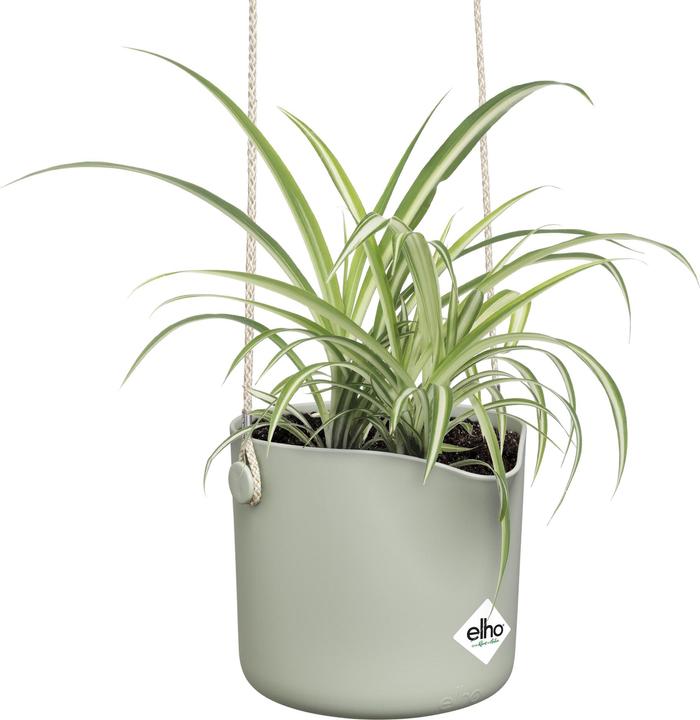 Produktbild Elho B.for Swing (18 x 16.50 cm)