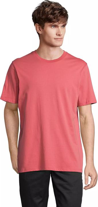 Actual product image Sol's Legend (XS)