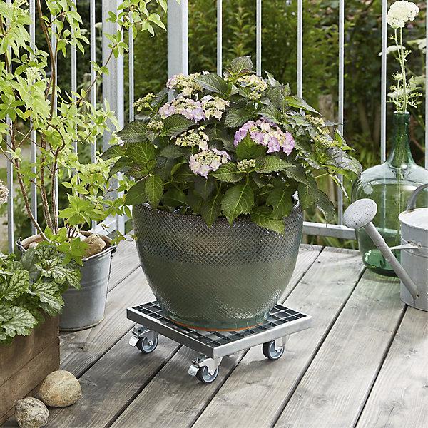 Produktbild Wagner System Pflanzenroller