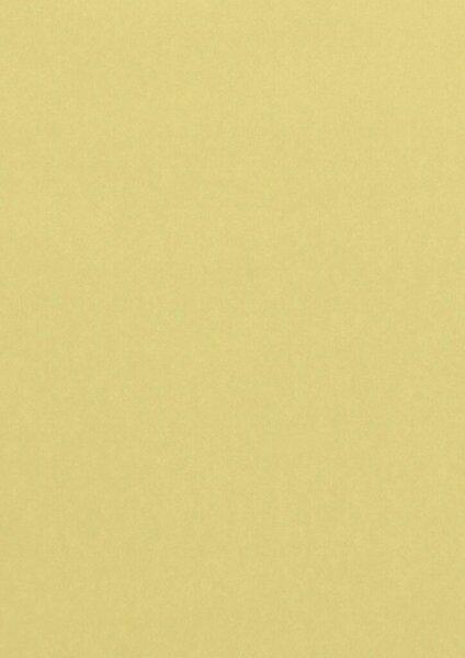 Immagine prodotto Clairefontaine Carta copiativa Polline A4 160g/mq 50 fogli camoscio (160 g/m², A4)