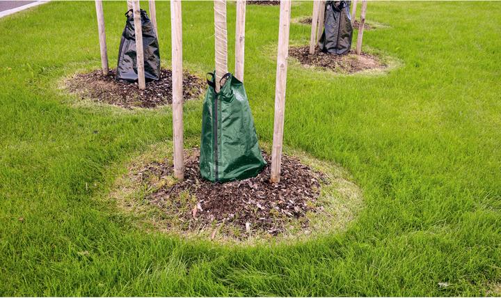 Actual product image Tector Tree watering bag, 55 L, 400g/m² (Tree watering bag)