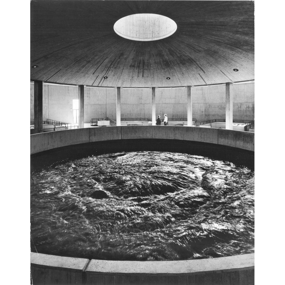 Bodensee-Wasserversorgung, Sipplingen, Sachbücher von Andreas Schwarting