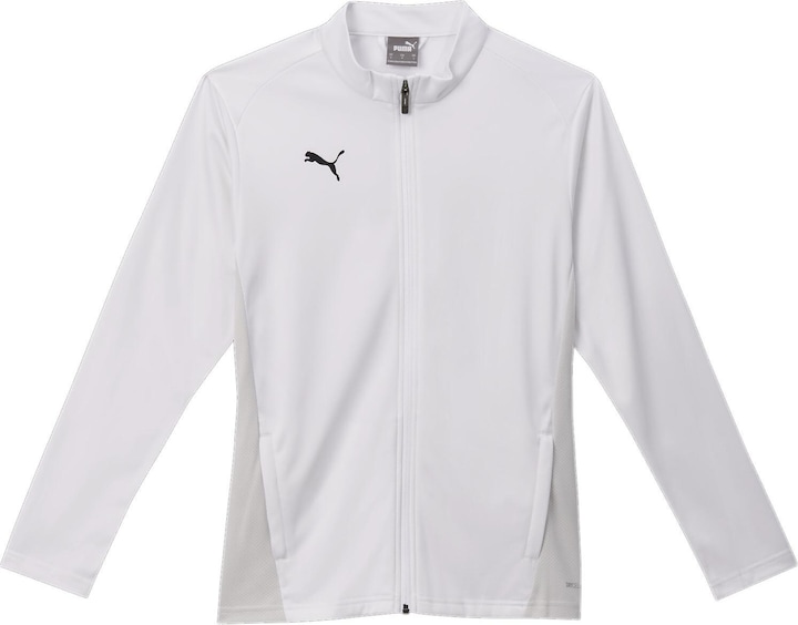 Actual product image Puma teamGOAL Training Jacket Wmn (L)