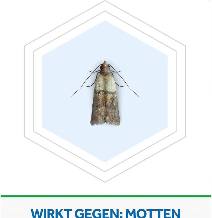 Actual product image Raid Scented cushion lavender