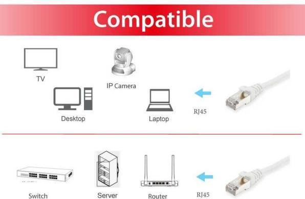 Actual product image equip Patch cord Cat6A S/FTP 2xRJ45 0.25m grey LSZH (S/FTP, CAT6a, 0.25 m)