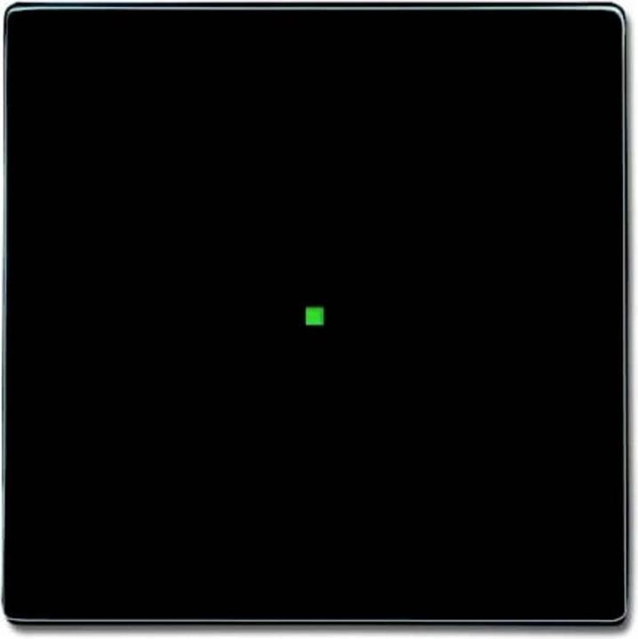 Produktbild Busch-Jaeger Wippe