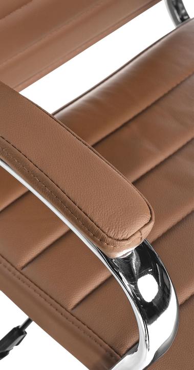 Actual product image CLP Mollis