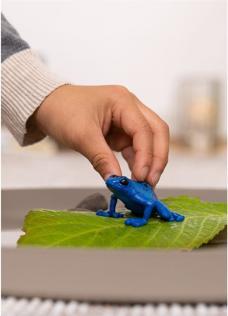 Produktbild Schleich Pfeilgiftfrosch