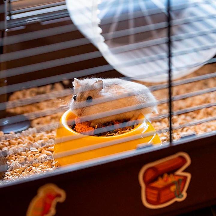 Produktbild Ferplast Hamster 9 Pirates - Narvas