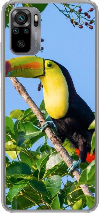 Tucan