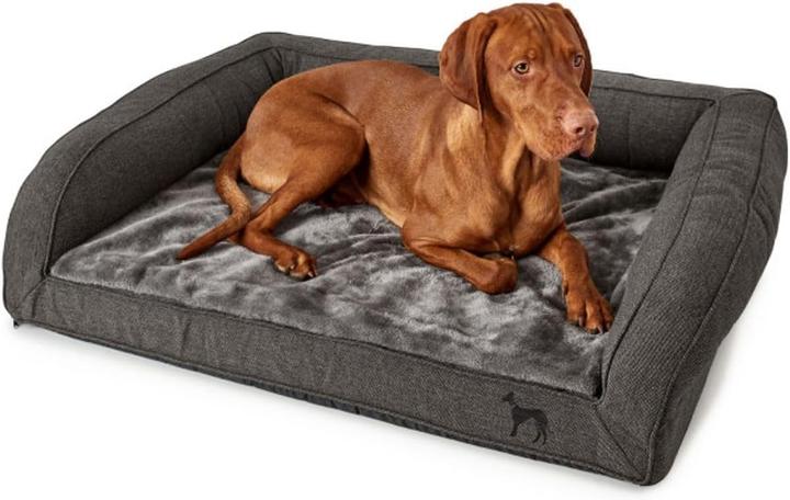 Produktbild Hunter Livingston (Hund)