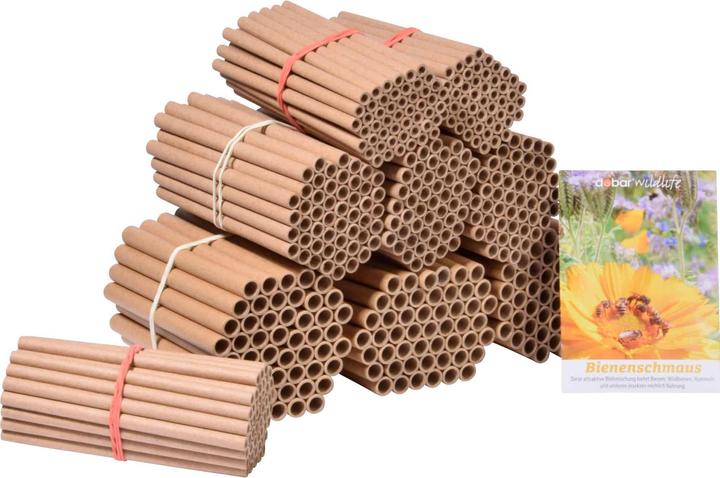 Actual product image Dobar Clementius (Wild bees)
