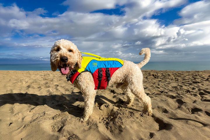 Spinlock FIDO Schwimmweste für Hunde (Hundeschwimmweste) - Galaxus