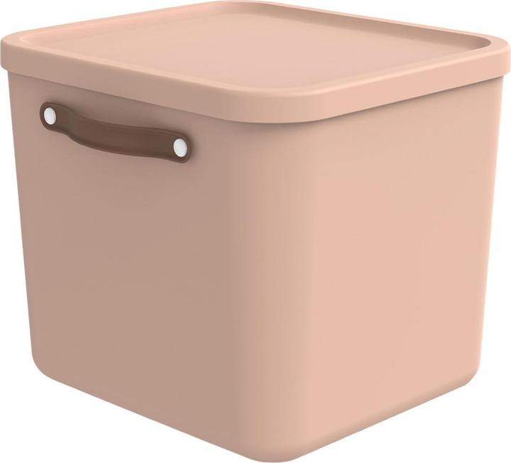 Immagine prodotto Rotho Contenitore Maloja 40 l, Meadow Rose (40 l)