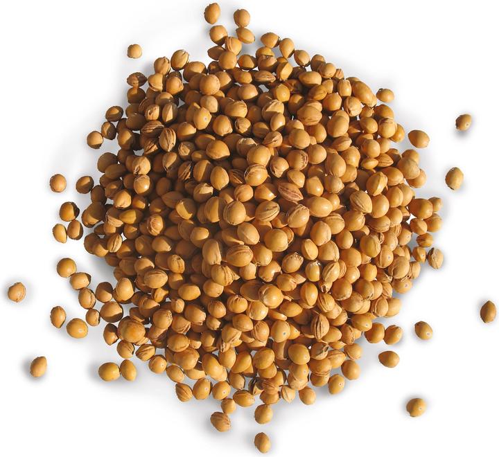 Image du produit Wenea Ergonomiewanne-Set mit Kirschkernen