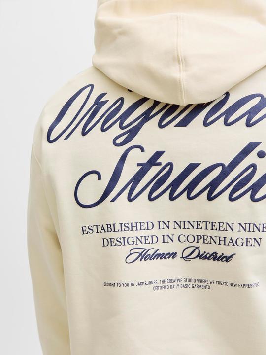Immagine prodotto Jack & Jones Jornorrebro Typo Back Sweat Hood Sn (M)
