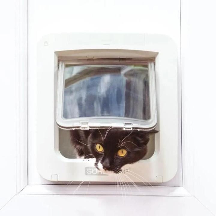 Actual product image SureFlap Connect (Microchip Cat Flap)