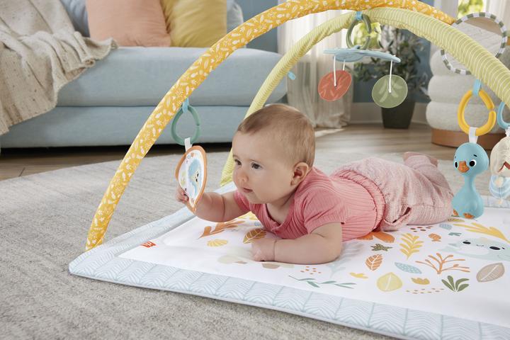 Image du produit Fisher-Price Simplement des sens