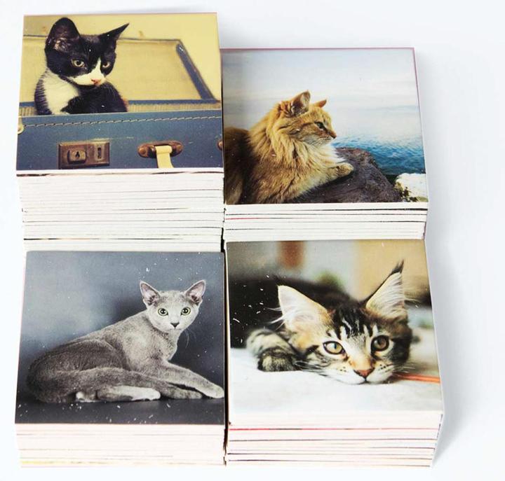 Produktbild Remember Gedächtnisspiel Cats (Englisch, 2 - 8 Spieler)