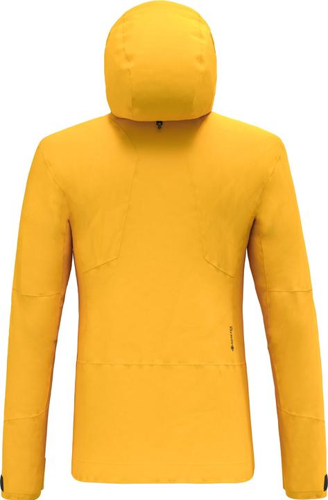 Actual product image Salewa Ortles Gtx Pro Jacket M (XXL)