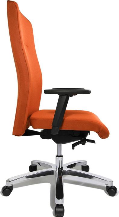 Image du produit Topstar Big Star 20 (44 - 52 cm)