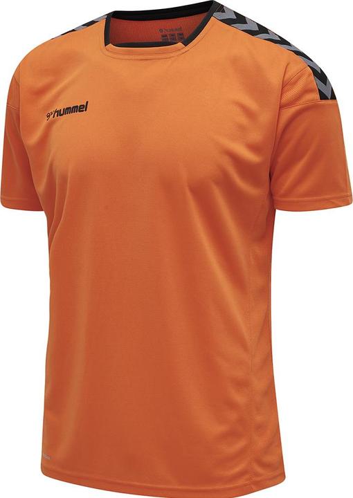 Produktbild hummel Authentic Poly Jersey S/S (S)