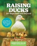 Image du produit Raising Ducks for Beginners and Beyond (Élever des canards pour les débutants et au-delà) (Anglais, Kristine Ellis, 2024)