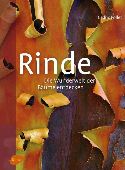 Produktbild Rinde (Deutsch, Cédric Pollet, 2016)
