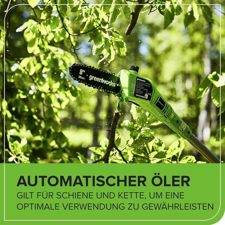 Produktbild Greenworks Gale (Akkubetrieb)