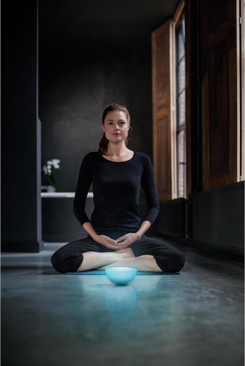 Image du produit Philips Hue Go Base BT (520 lm)