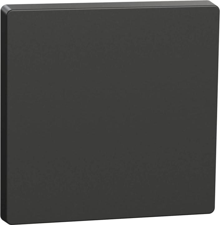 Merten Rocker anthracite MEG3300-6034