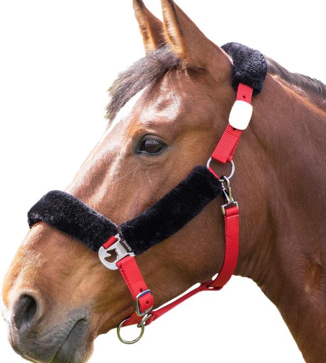 Shires Licol pour chevaux Housse en polaire