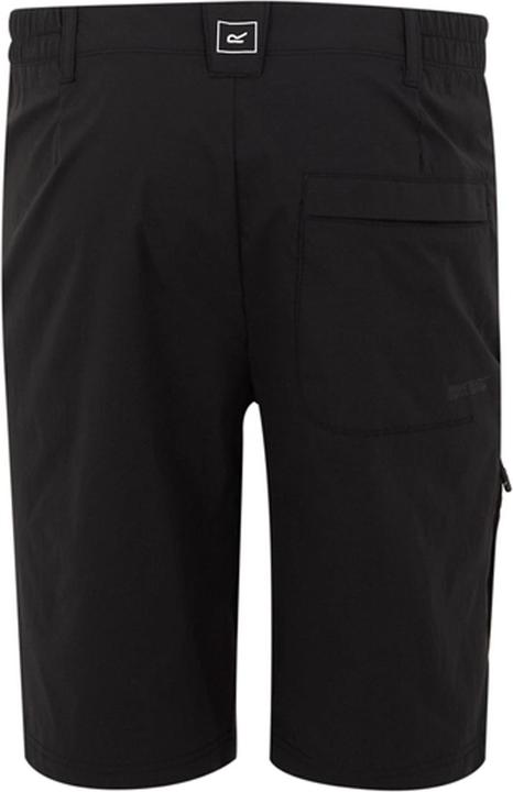 Immagine prodotto Regatta Highton II Pantaloncini Casual Lunga Escursionismo Uomo (33)