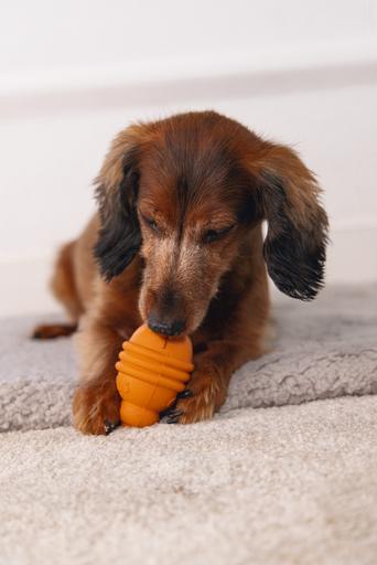 Image du produit Beeztees Sumo Play (Jouet à mâcher pour chien)