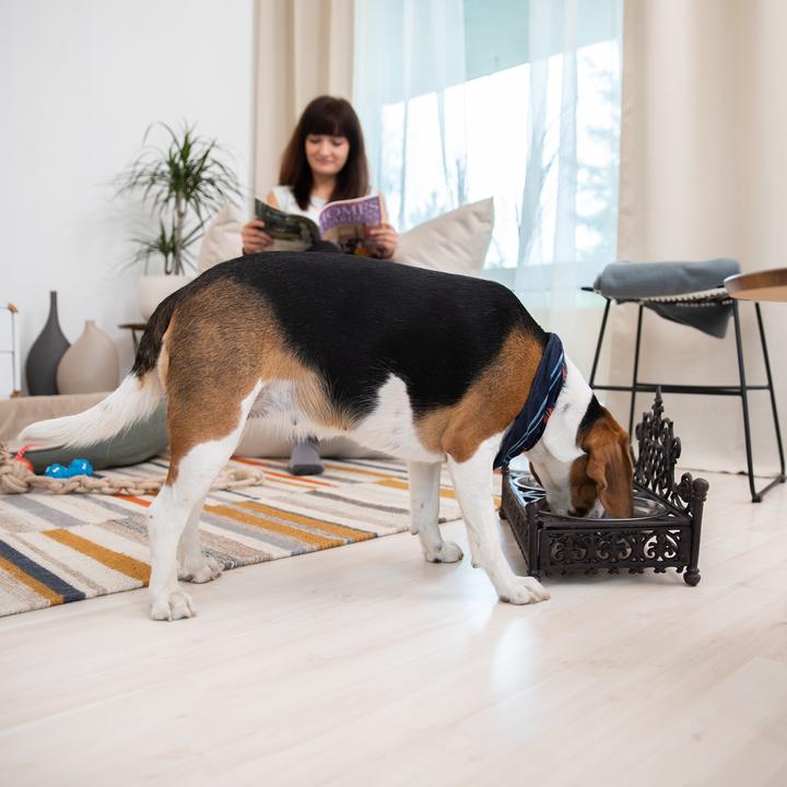 Produktbild Relaxdays Futterbar Hunde (1 l)