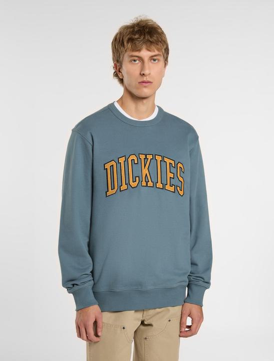 Image du produit Dickies Aitkin Sweatshirt (XS)