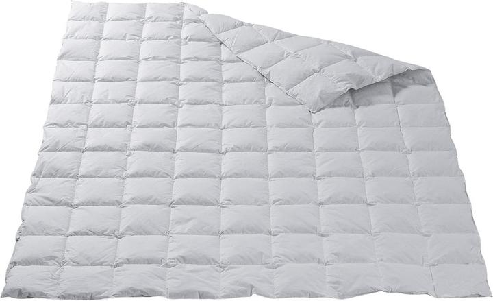 Image du produit DOR Perfetto (Duvet, 200 x 210 cm)