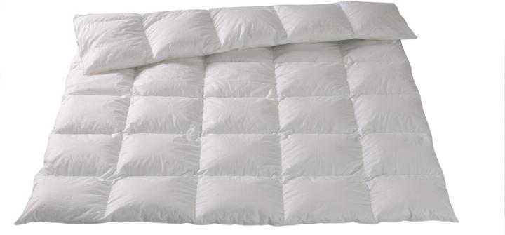 Image du produit DOR Perfetto (775 g, Duvet, 200 x 210 cm)