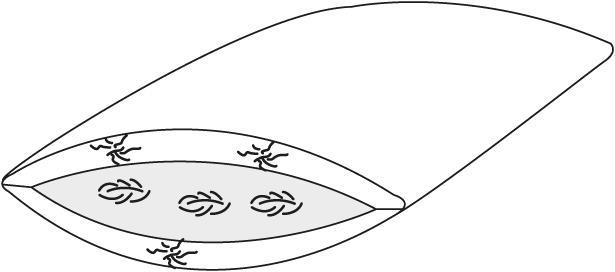 Immagine prodotto DOR Perfetto (60 x 60 cm)