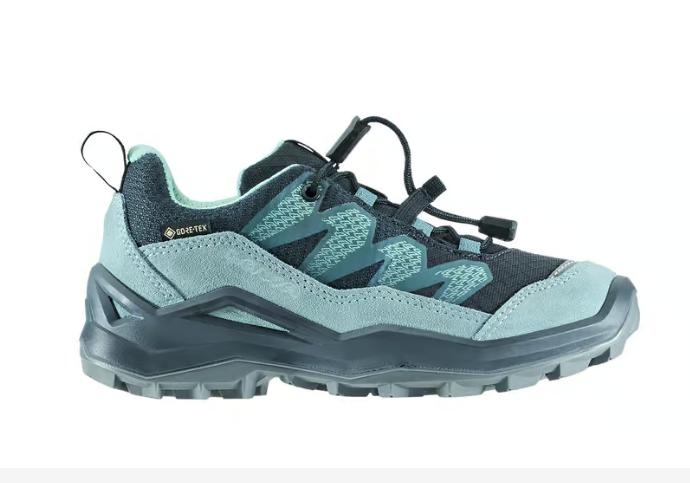 Produktbild Lowa Maddox Pro GTX LO (29)