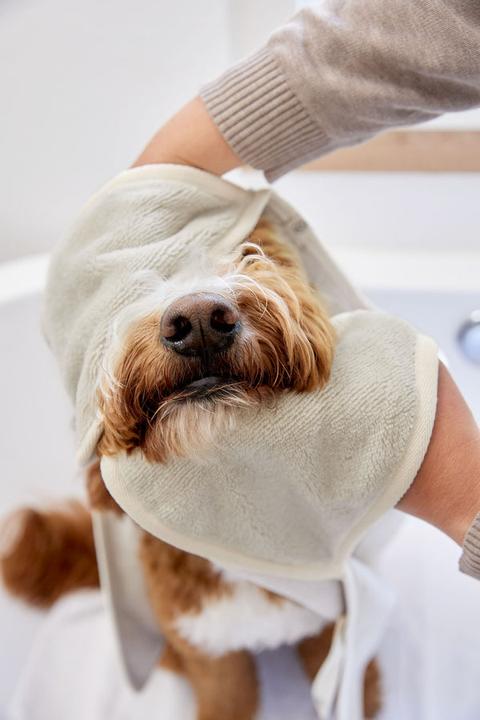 Actual product image Palopa Dog towel