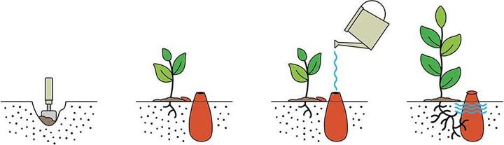 Actual product image WePot Olla L