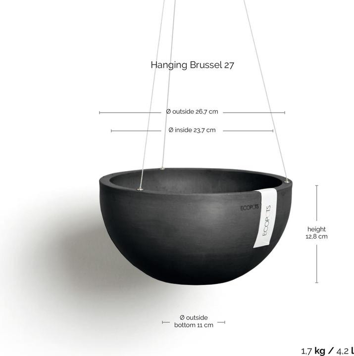 Immagine prodotto Ecopots Hanging Brussels (27 x 13 cm)